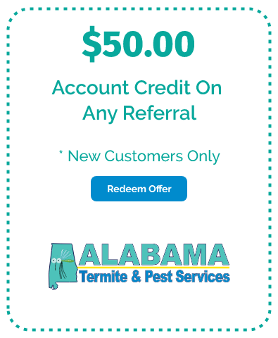 Account Credit On Any Referral