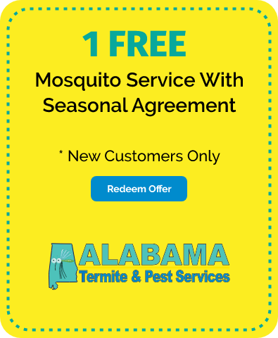 Mosquito Service With Seasonal Agreement