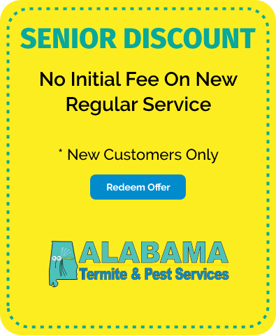 No Initial Fee on New Regular Service