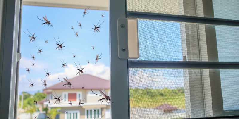 Are Mosquitoes a Problem for Homeowners in Gulf Shores, AL?