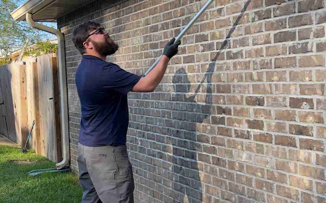 Pest Control