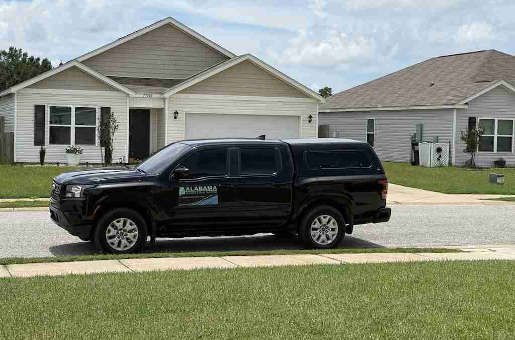 basement pest control services
