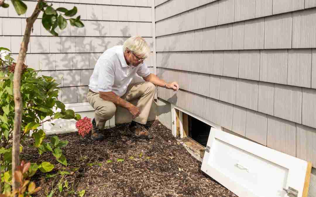 Crawl space moisture under an Alabama home that can attract termites and pests